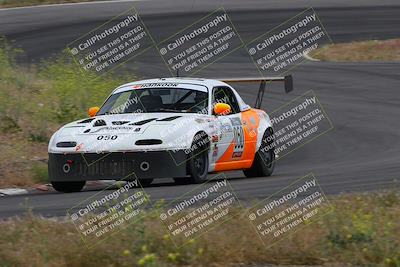 media/May-04-2024-Lucky Dog Racing (Sat) [[d39539b3f3]]/Race Pics/1230pm (Turn 4a)/